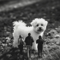 freetoedit blackandwhite dog people surrealart fantasy replay nature wallpaper mrlb2000 creative fun small
