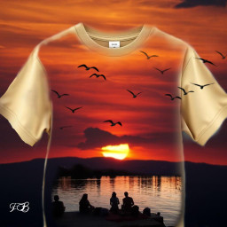 beauty sun bird fernandabicalho challenge picsartchallenge pordosol freetoedit ircspringtshirtdesign springtshirtdesign