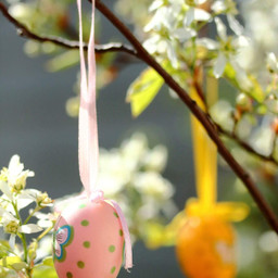 easter eastereggs ostern ostereier blossoms blüten nature natur freetoedit pccelebratingeaster celebratingeaster